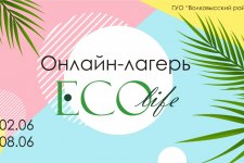 Онлайн-лагерь