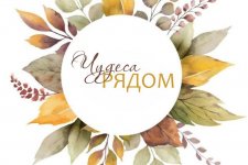 Онлайн-лагерь