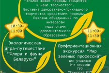 Неделя учреждения дополнительного образования в ГУО 