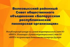 Итоги республиканского конкурса на лучший территориальный Совет ОО «БРПО»